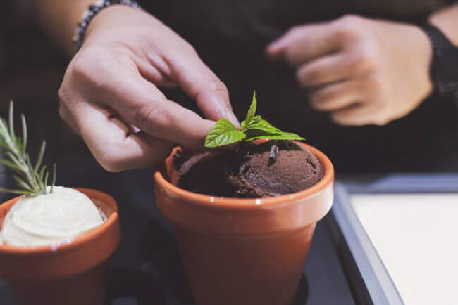 Chiosco Gelato Ficus - Giardino Duca di Serradifalco